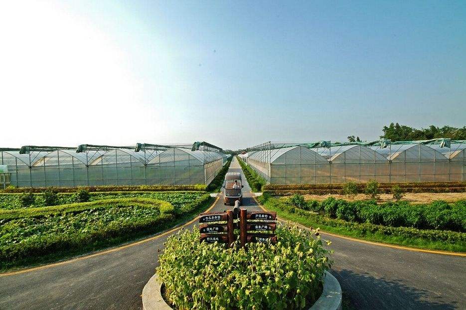 品牌策劃 | 觀光休閑農(nóng)業(yè)旅游項目策劃，告訴你如何經(jīng)營農(nóng)場！