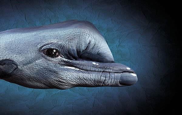 廣告創(chuàng)意的13個(gè)類型 廣告創(chuàng)意的13個(gè)類型