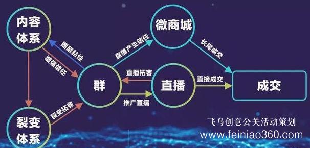 北京直播公司直播技巧 ‖ 品牌直播如何啟動，如何搭建直播運營體系